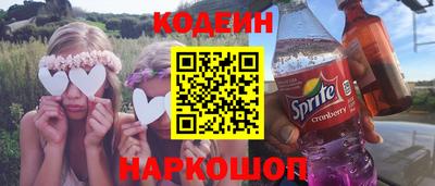 индика Гусев