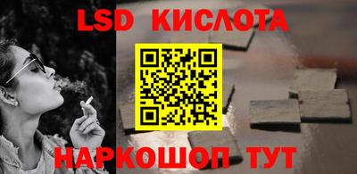 индика Гусев