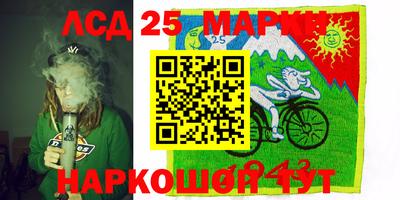 индика Гусев