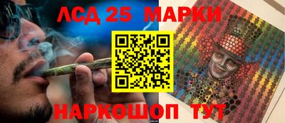 индика Гусев