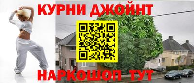 индика Гусев