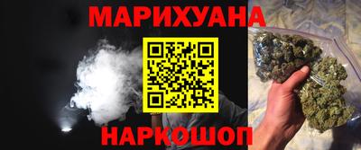 индика Гусев