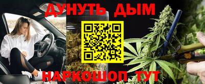 индика Гусев