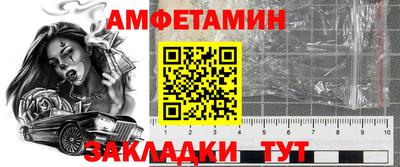 индика Гусев